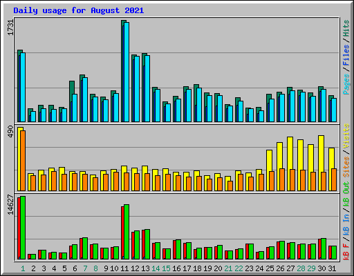 Daily usage for August 2021