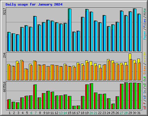 Daily usage for January 2024
