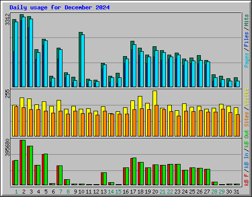 Daily usage for December 2024
