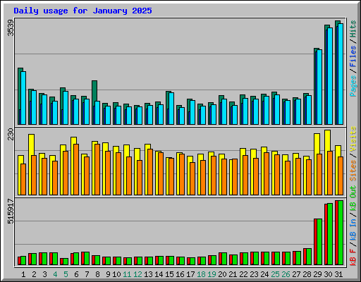Daily usage for January 2025