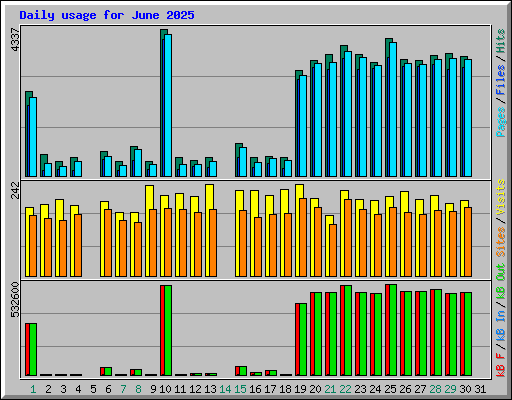 Daily usage for June 2025