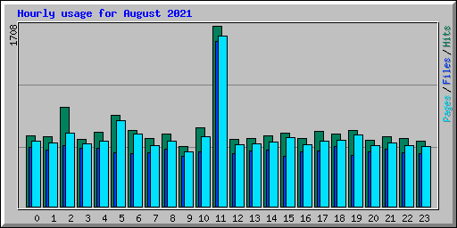 Hourly usage for August 2021