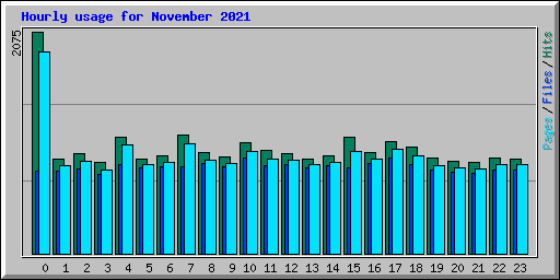 Hourly usage for November 2021