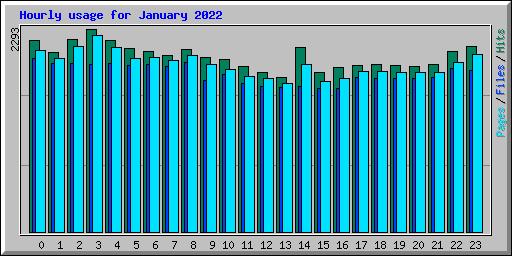 Hourly usage for January 2022