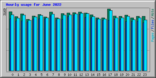 Hourly usage for June 2022