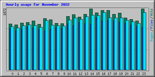 Hourly usage for November 2022