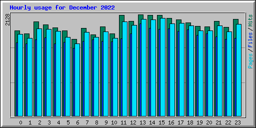 Hourly usage for December 2022