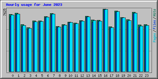Hourly usage for June 2023