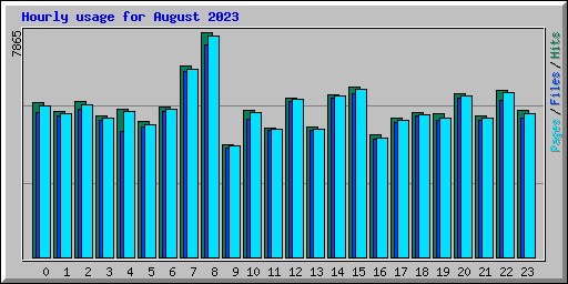 Hourly usage for August 2023