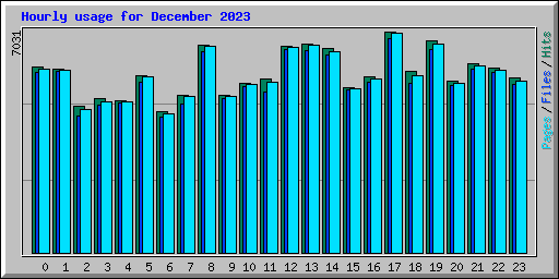 Hourly usage for December 2023