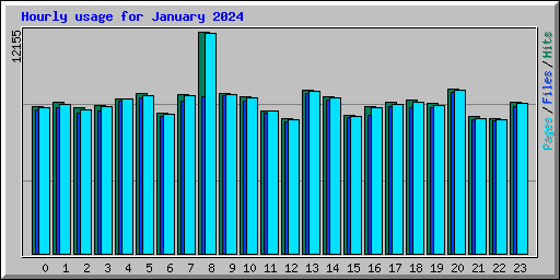 Hourly usage for January 2024