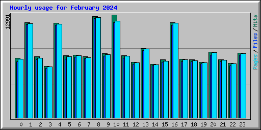 Hourly usage for February 2024