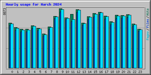 Hourly usage for March 2024