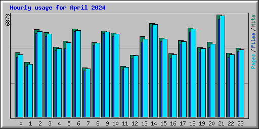 Hourly usage for April 2024