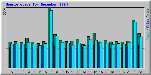 Hourly usage for December 2024