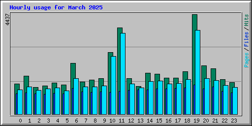 Hourly usage for March 2025