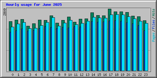 Hourly usage for June 2025