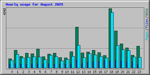 Hourly usage for August 2025