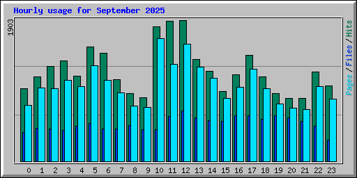Hourly usage for September 2025