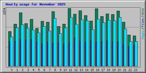 Hourly usage for November 2025