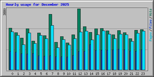 Hourly usage for December 2025