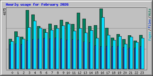 Hourly usage for February 2026
